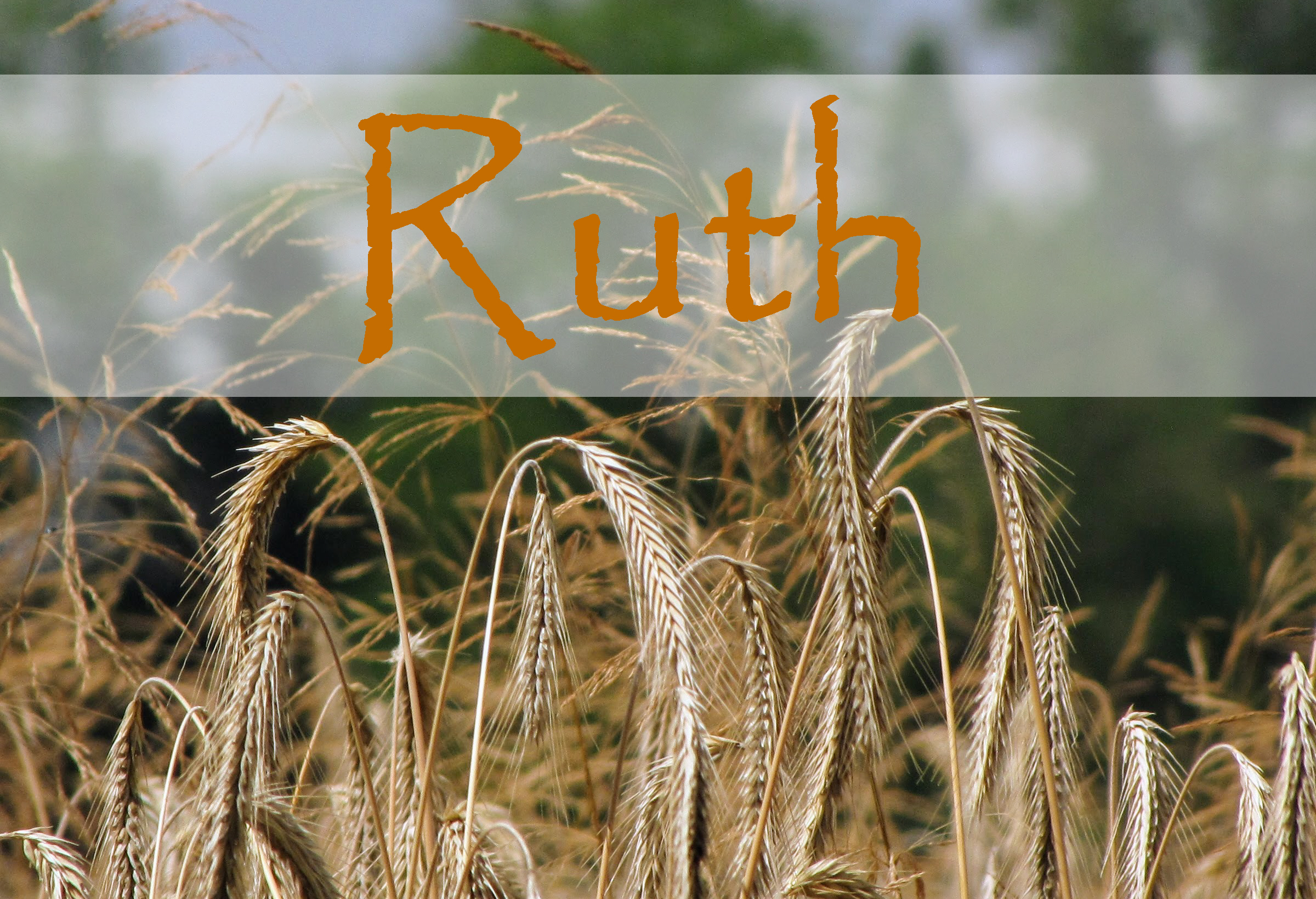 Sermon Series for February – Spurgeon Baptist Church